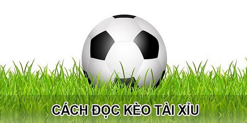Cách xem tỷ lệ Over/Under đơn giản nhất