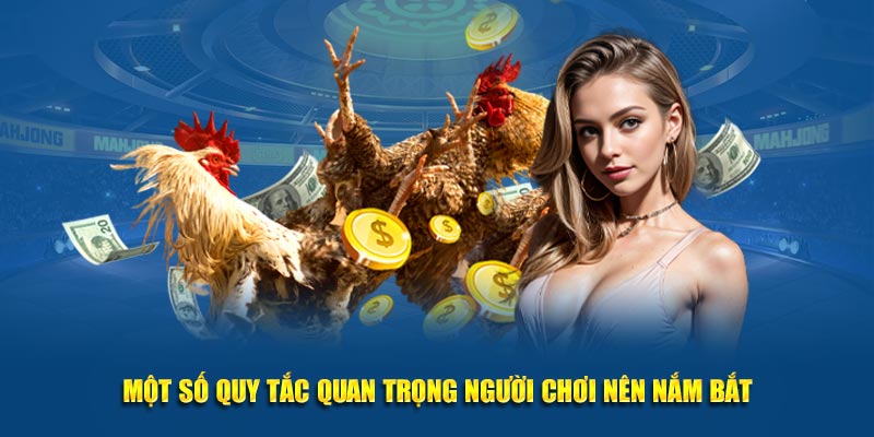 Một số quy tắc quan trọng người chơi nên nắm bắt