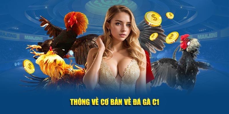 Thông về cơ bản về đá gà C1