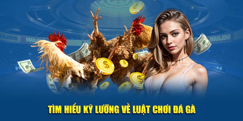 Tìm hiểu kỹ càng về luật chơi đá gà