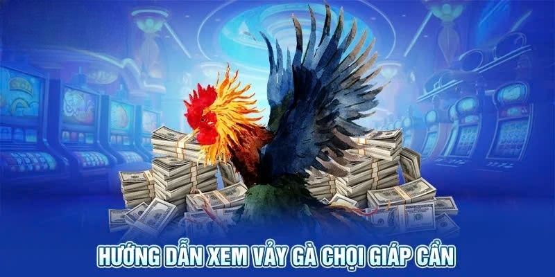 Hướng dẫn xem vảy gà đá Giáp cần từ Kubet88