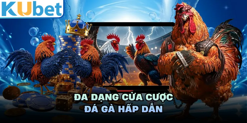 Đa dạng cửa cược đá gà hấp dẫn