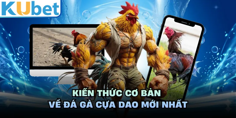 Kiến thức cơ bản về đá gà cựa dao mới nhất